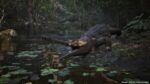 METAL GEAR SOLID Δ: SNAKE EATER TACTICAL EDITION – XSX - Image 5