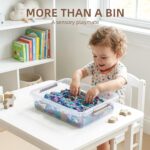 Citylife 3 PCS Plastic Storage Bins with Latching Lids Portable Project Case Clear File Box Stackable Storage Containers for Organizing A4 Paper, Photo, Document, Scrapbook - Image 8
